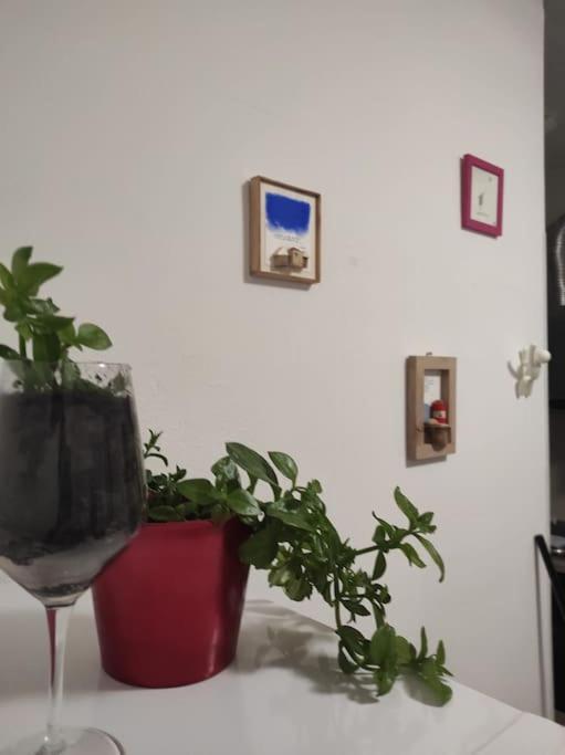 E Piscina Peschiera Apartment